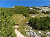 End of road on Vogar - Mala Tičarica